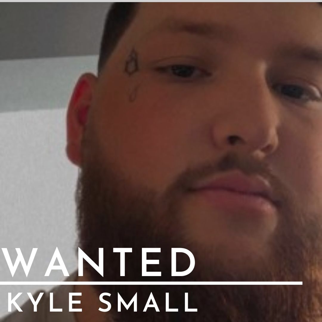 picutre of suspect 1