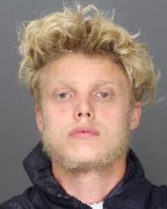 picutre of suspect 2