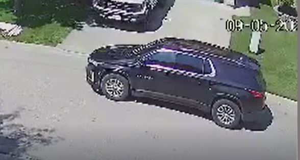 picutre of suspect 2