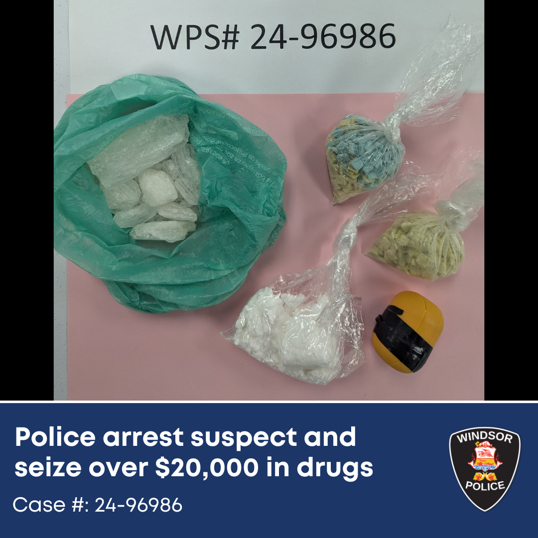 Pills and powders seized as evidence