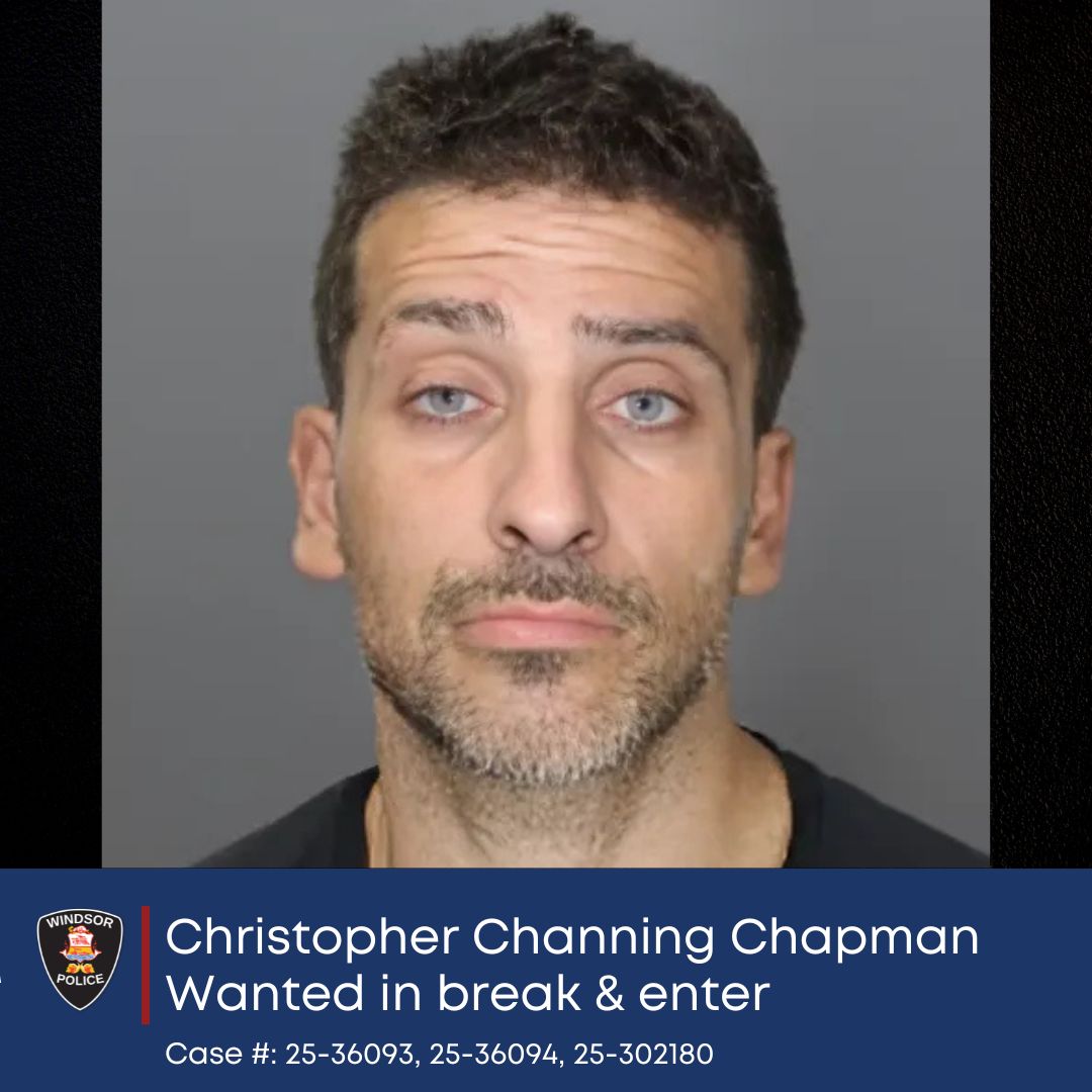 One arrested, two sought for string of thefts and break-ins