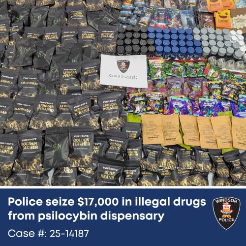 2025-02-14-update-1-image-1 Collection of packaged psilocybin products.