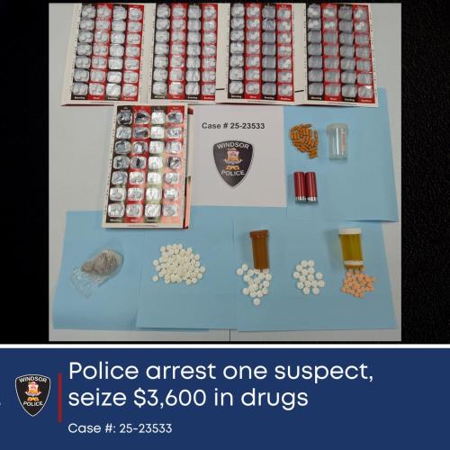 2025-03-13-update-1-image-1 Photograph of seized drugs and ammunition